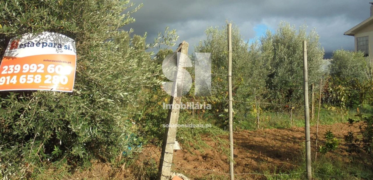 Terreno para Venda em Lousã e Vilarinho Foto 2