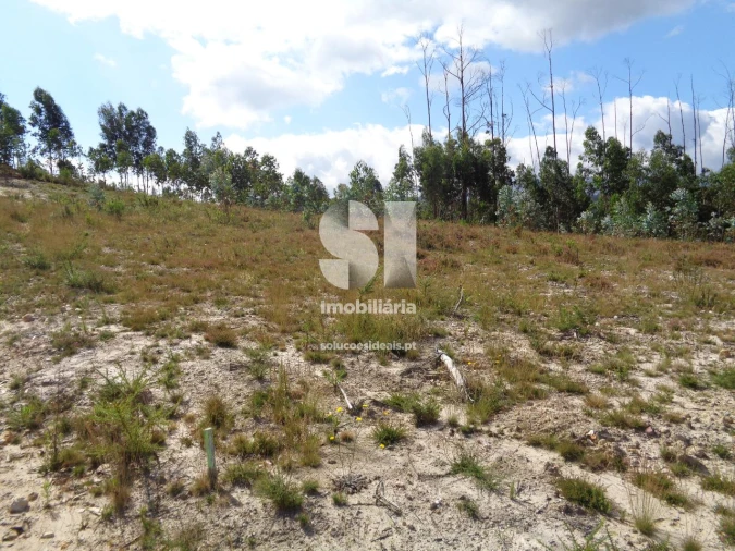 Terreno para Venda em Poiares (Santo Andre) Foto 11