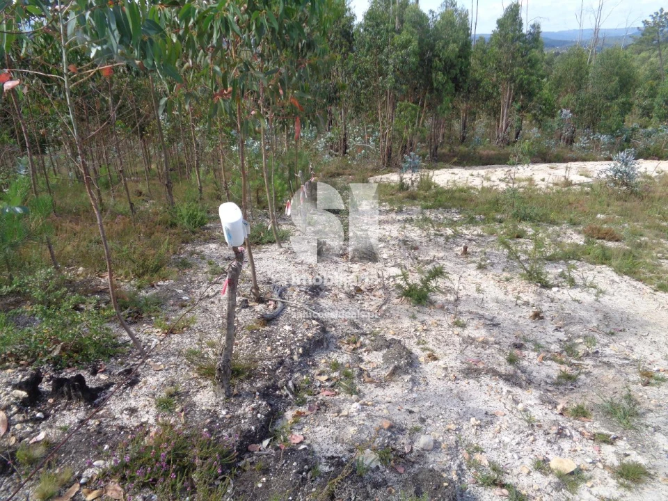 Terreno para Venda em Poiares (Santo Andre) Foto 4