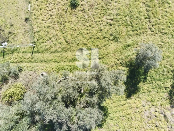 Terreno para Venda em Foz de Arouce e Casal de Ermio Foto 8