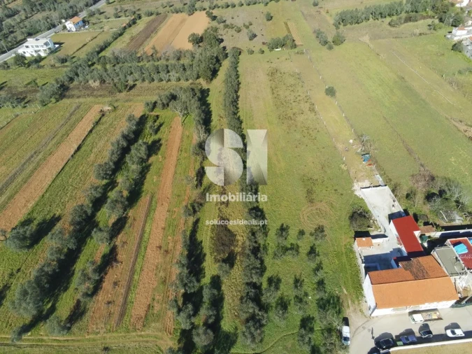 Terreno para Venda em Foz de Arouce e Casal de Ermio Foto 6