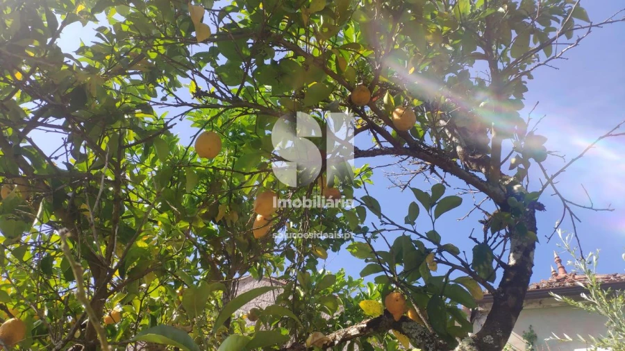 Moradia T6 para Venda em Poiares (Santo Andre) Foto 7