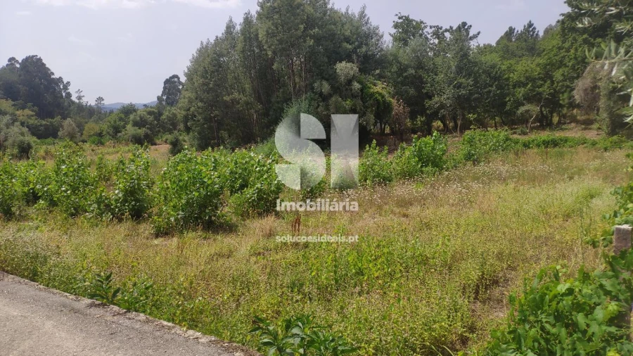 Terreno para Venda em Penacova Foto 6