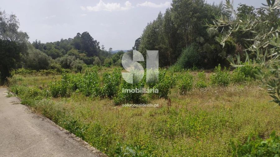 Terreno para Venda em Penacova Foto 7