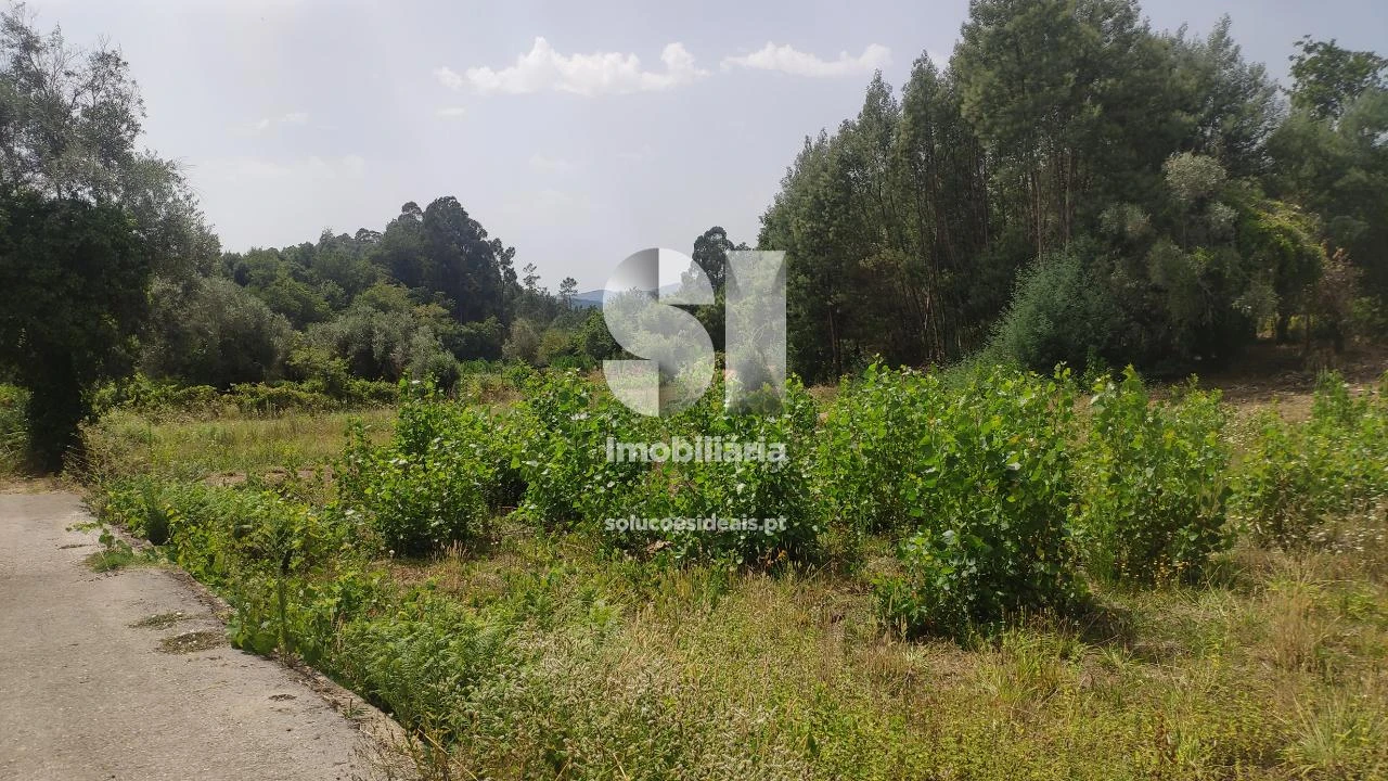 Terreno para Venda em Penacova Foto 3