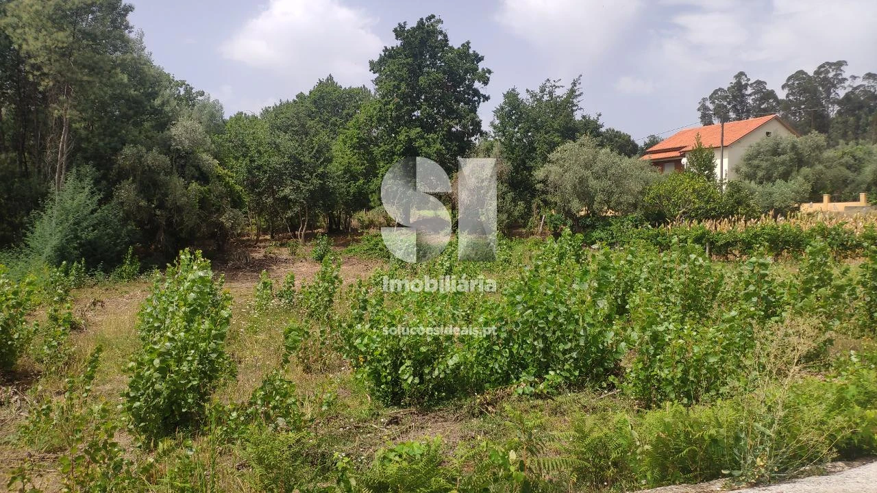 Terreno para Venda em Penacova Foto 4