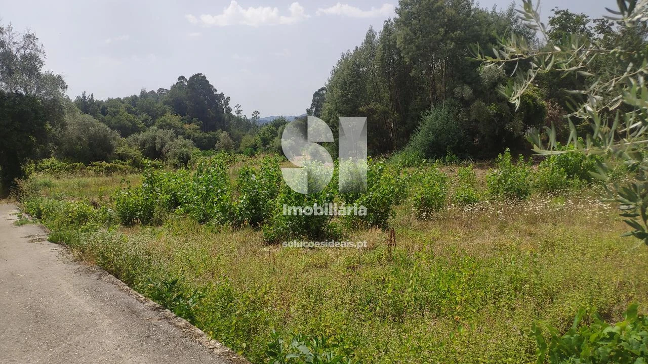 Terreno para Venda em Penacova Foto 7
