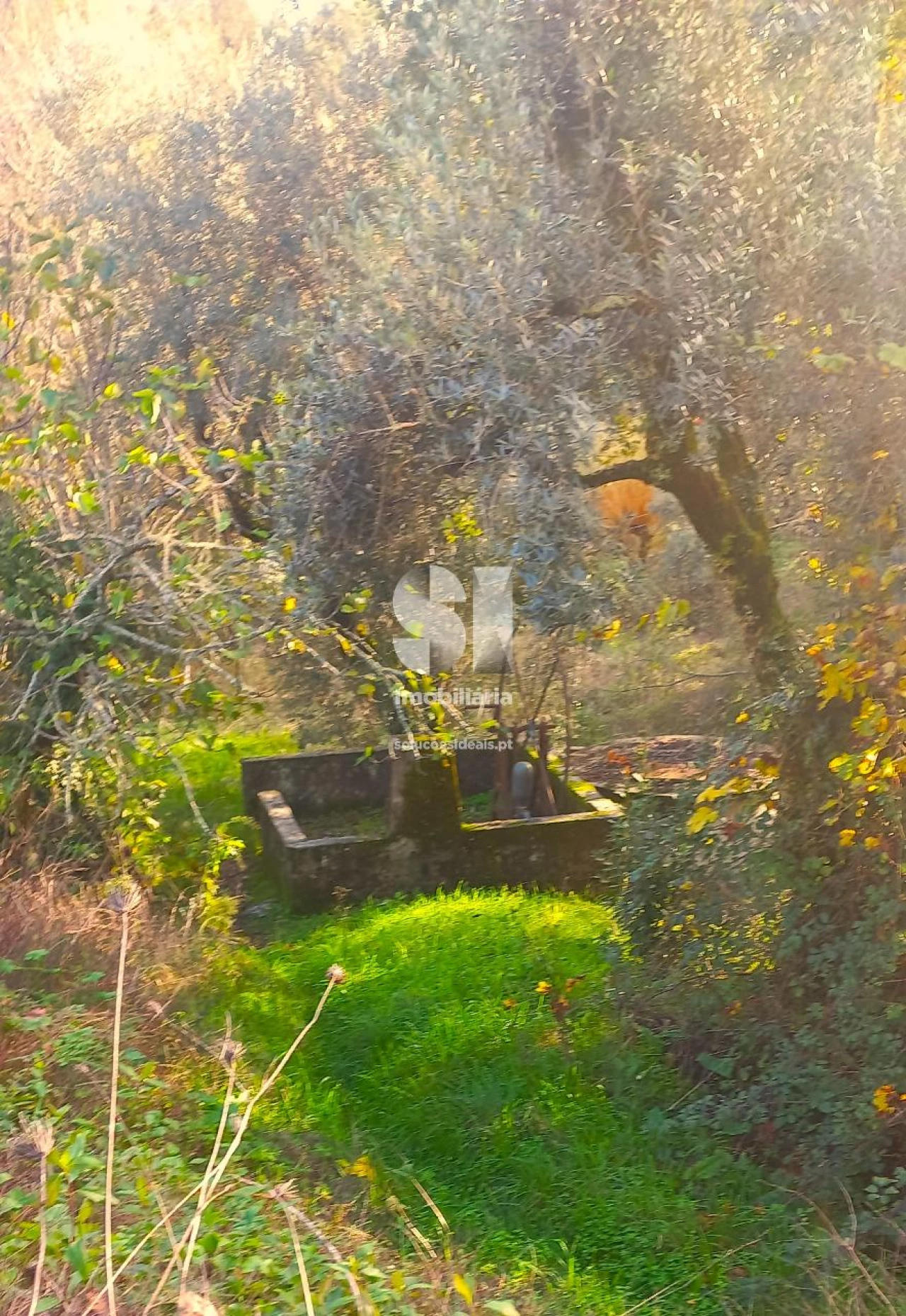 Moradia T2 para Venda em Arrifana Foto 16