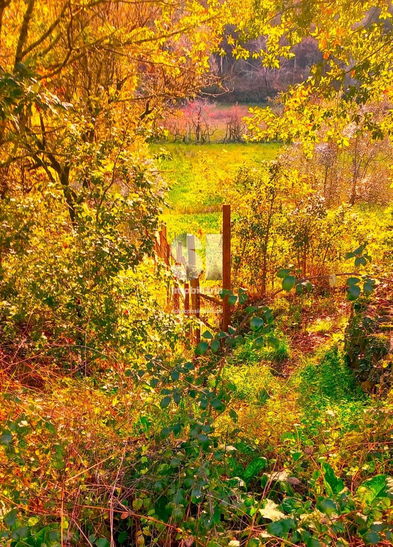 Moradia T2 para Venda em Arrifana Foto 15