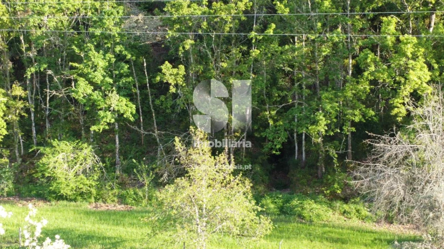 Moradia T10 para Venda em Lavegadas Foto 35