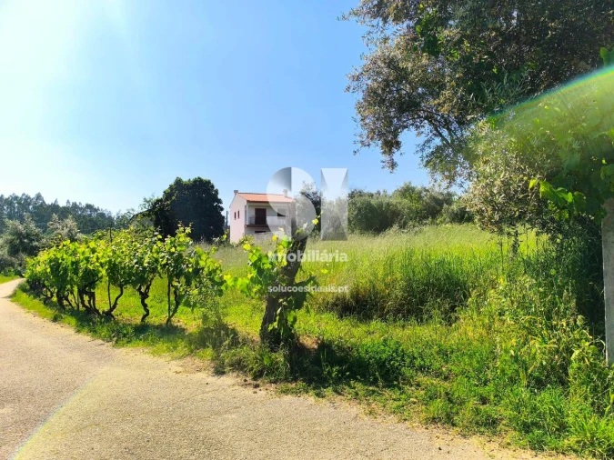 Moradia T1 para Venda em Arrifana Foto 4