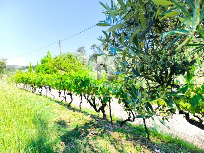 Moradia T1 para Venda em Arrifana Foto 9