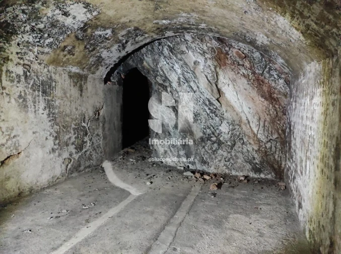 Armazém para Venda em Arcos e Mogofores Foto 15