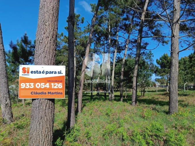 Terreno para Venda em Vieira de Leiria Foto 3