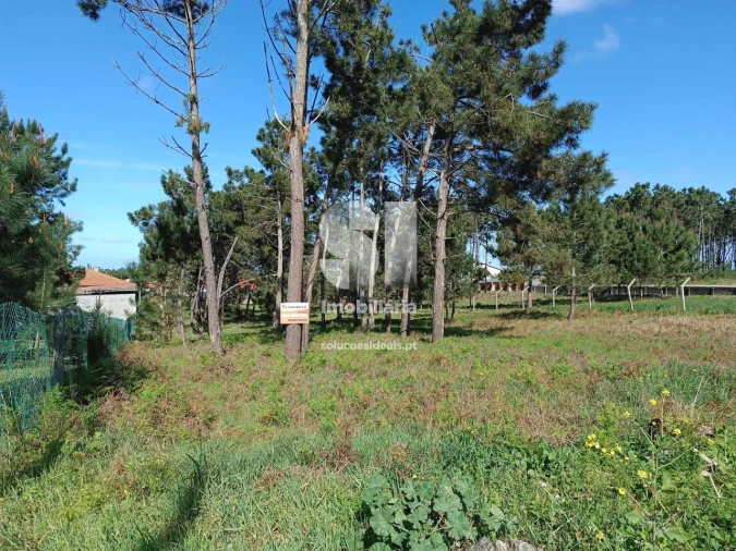 Terreno para Venda em Vieira de Leiria Foto 5