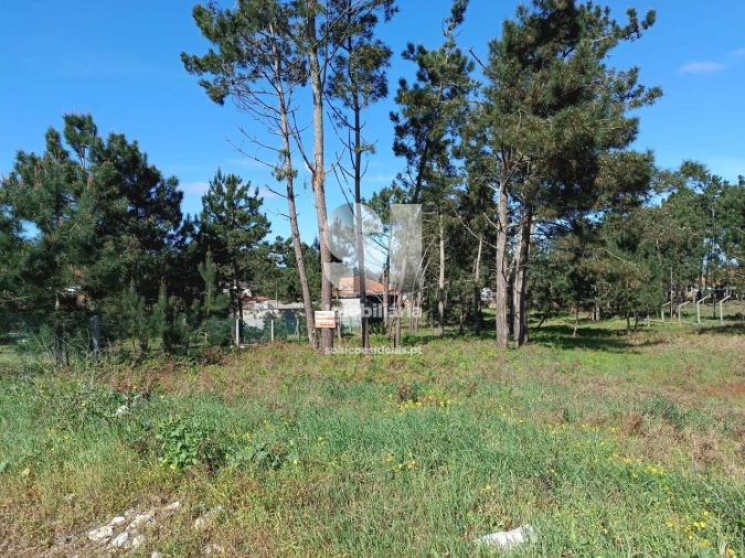 Terreno para Venda em Vieira de Leiria Foto 1