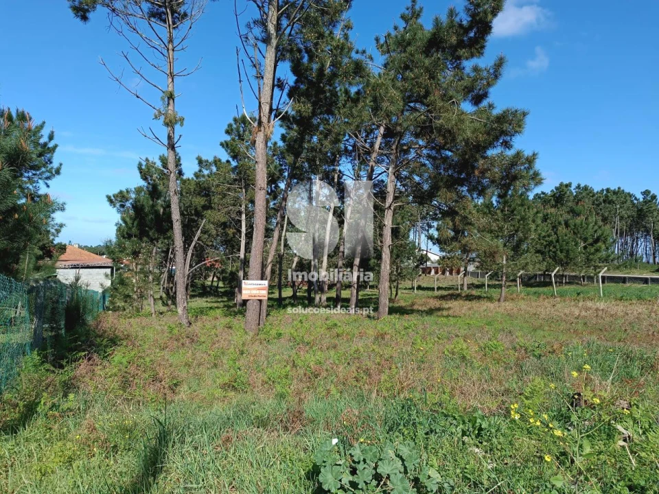 Terreno para Venda em Vieira de Leiria Foto 4