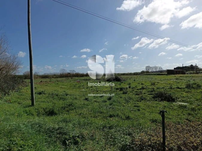 Terreno para Venda em Vieira de Leiria Foto 3