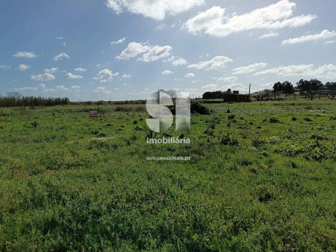 Terreno para Venda em Vieira de Leiria Foto 4