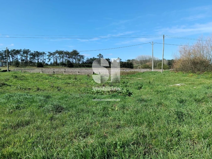 Terreno para Venda em Vieira de Leiria Foto 6