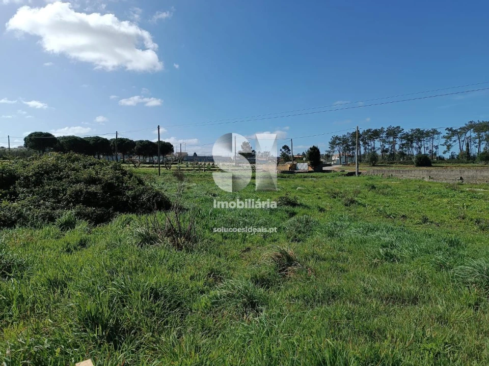 Terreno para Venda em Vieira de Leiria Foto 1