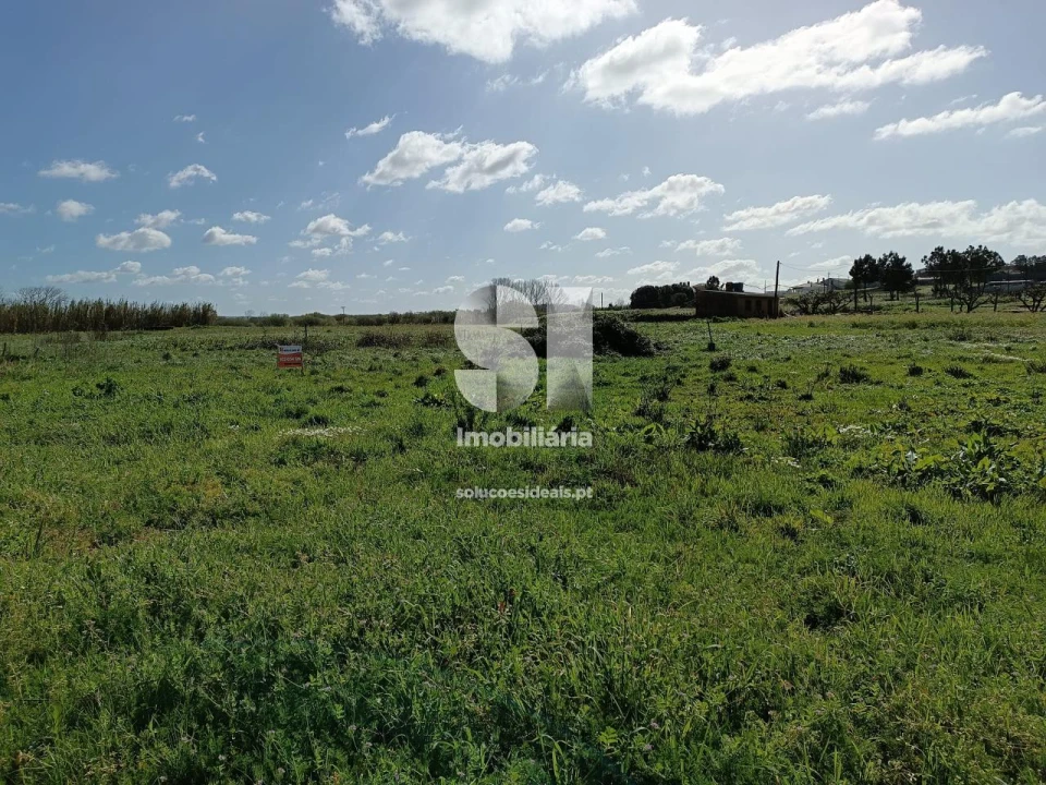 Terreno para Venda em Vieira de Leiria Foto 4