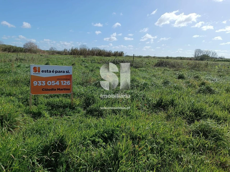 Terreno para Venda em Vieira de Leiria Foto 5