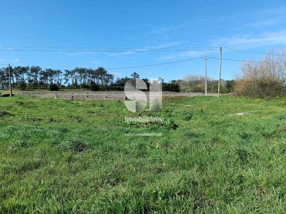 Terreno para Venda em Vieira de Leiria Foto 6
