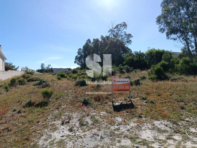 Terreno para Venda em Vieira de Leiria Foto 3