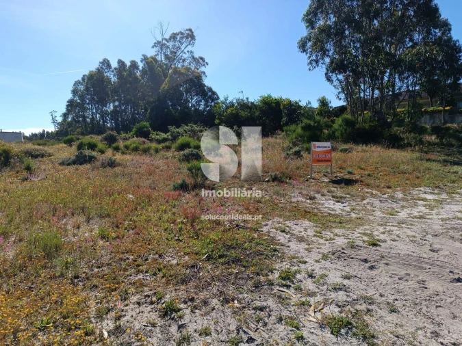 Terreno para Venda em Vieira de Leiria Foto 8