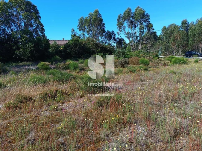 Terreno para Venda em Vieira de Leiria Foto 10