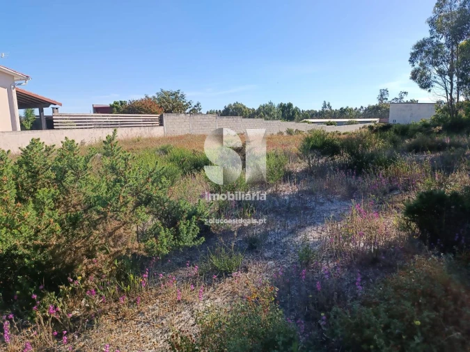 Terreno para Venda em Vieira de Leiria Foto 13