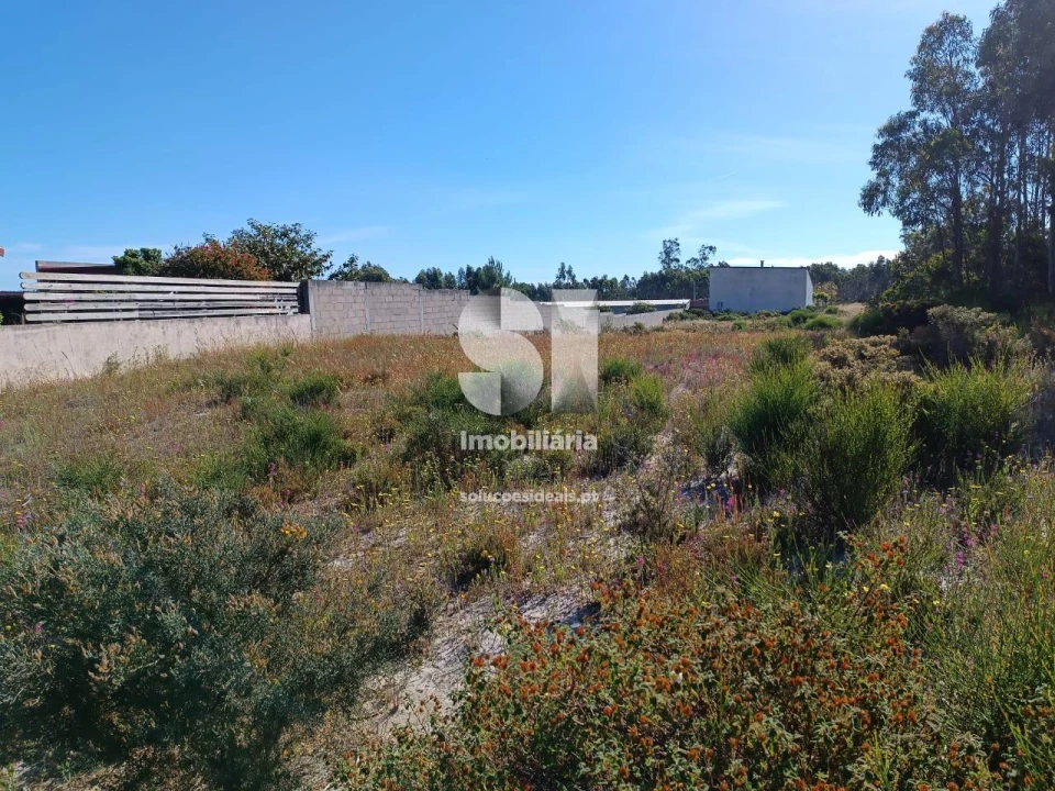 Terreno para Venda em Vieira de Leiria Foto 2