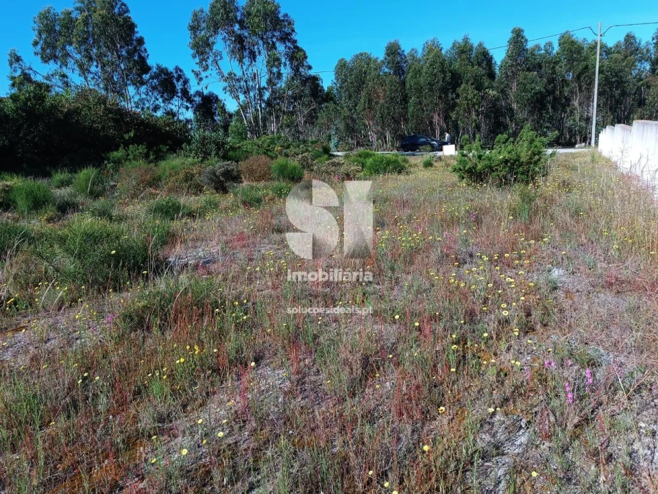Terreno para Venda em Vieira de Leiria Foto 9