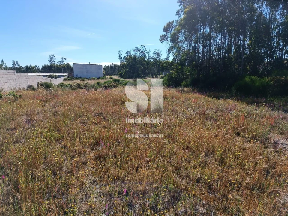 Terreno para Venda em Vieira de Leiria Foto 11