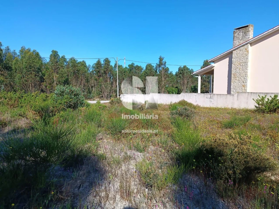 Terreno para Venda em Vieira de Leiria Foto 12