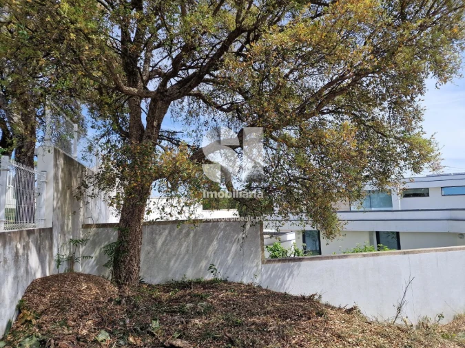 Terreno para Venda em Parada de Todeia Foto 26