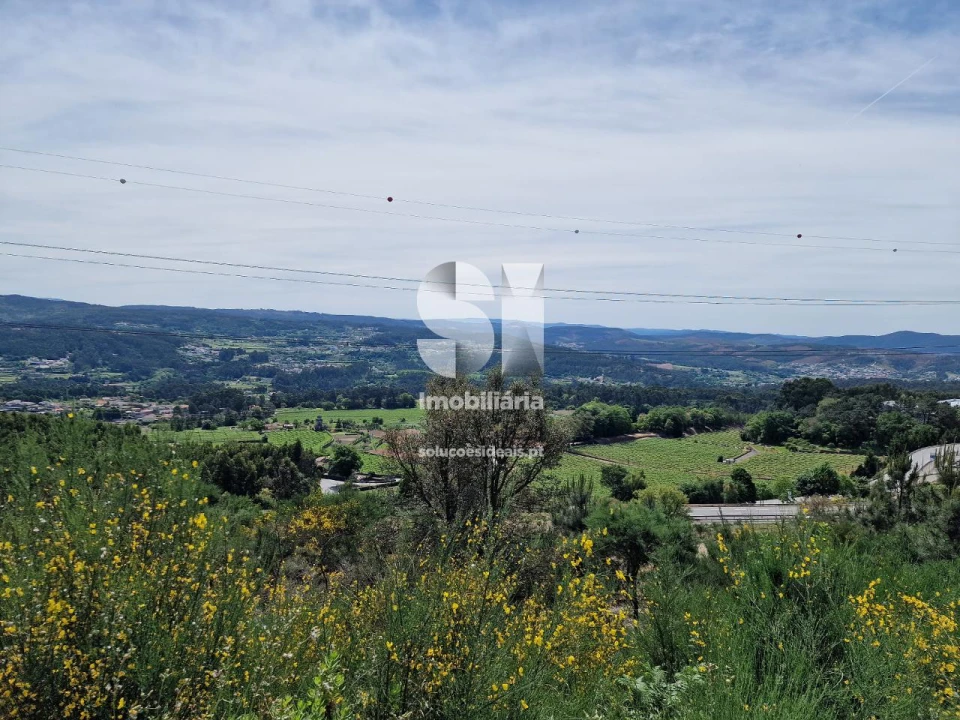 Terreno para Venda em Parada de Todeia Foto 3