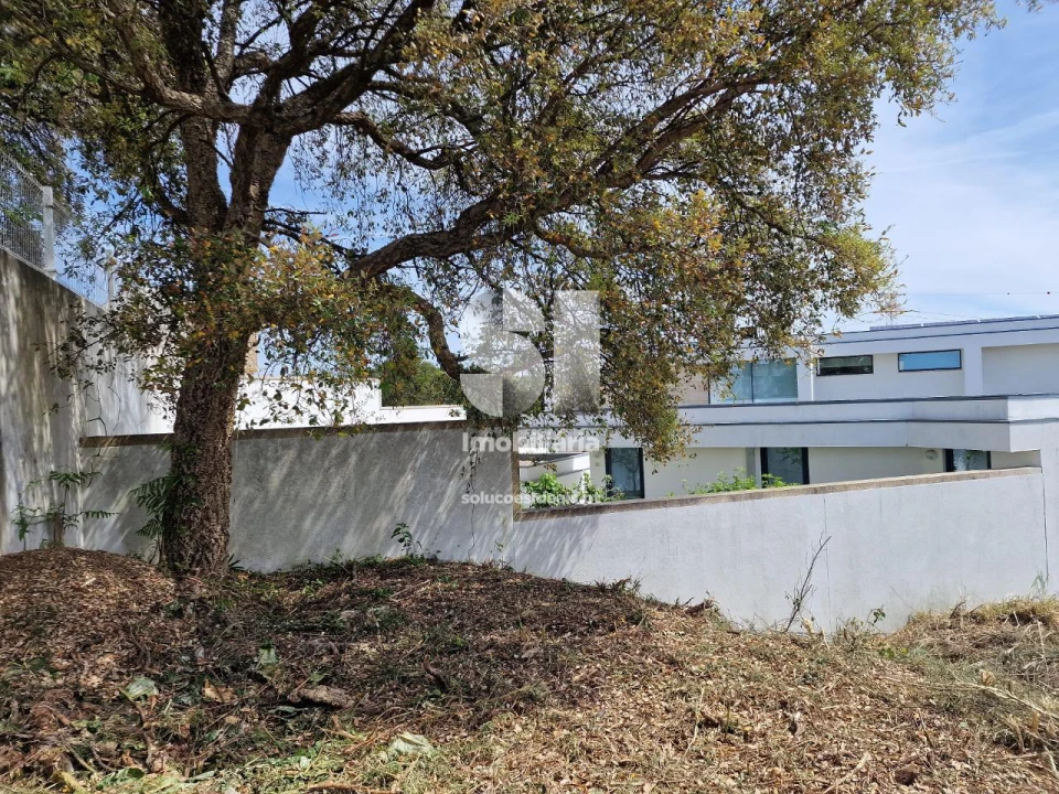 Terreno para Venda em Parada de Todeia Foto 5