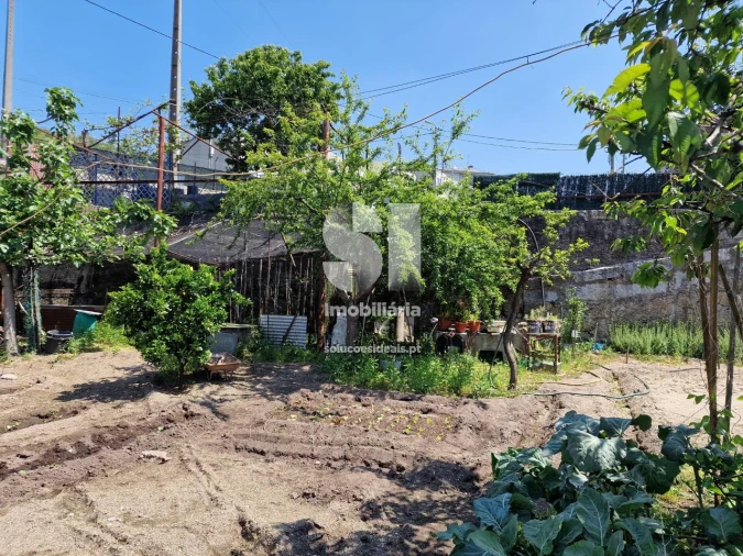 Terreno para Venda em Rebordosa Foto 6