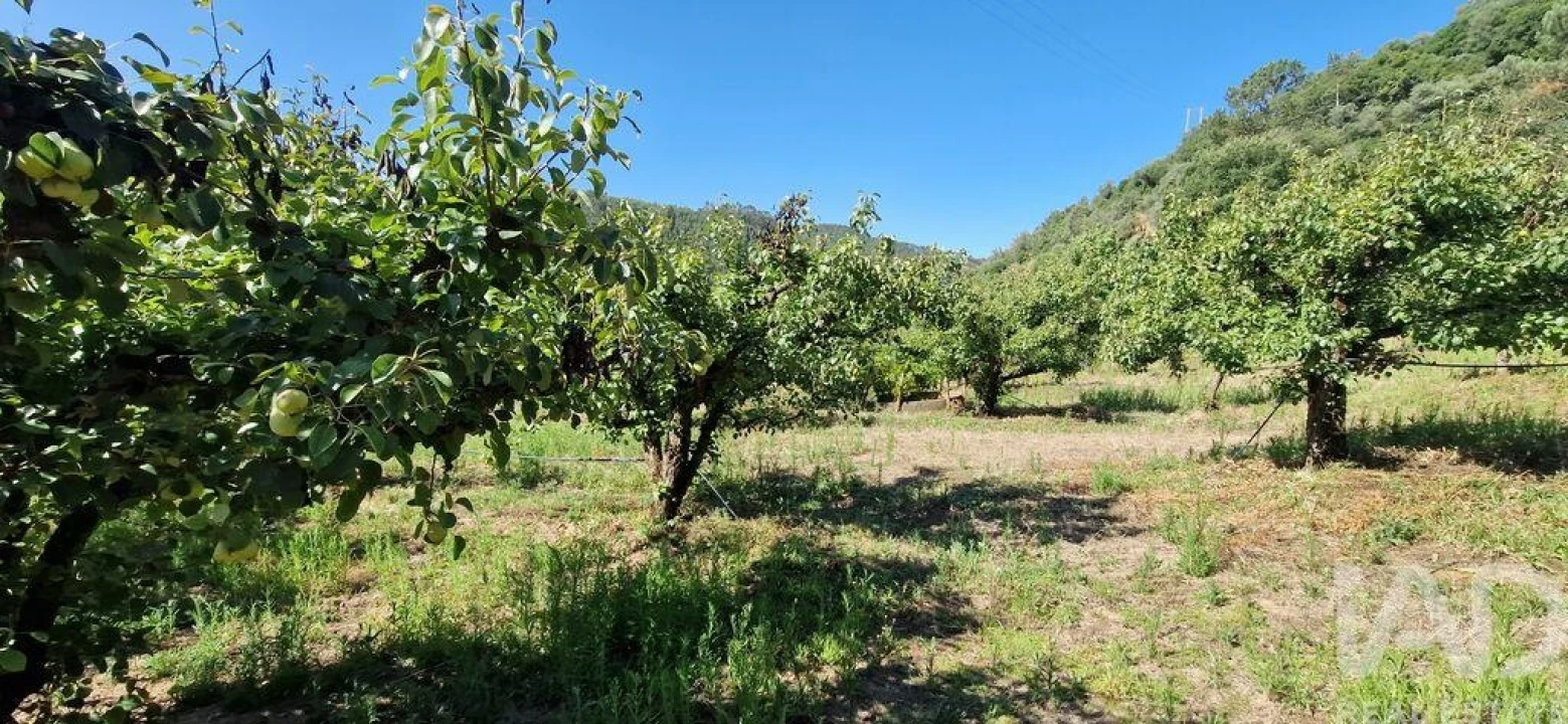 Terreno para Venda em Azueira e Sobral da Abelheira Foto 24
