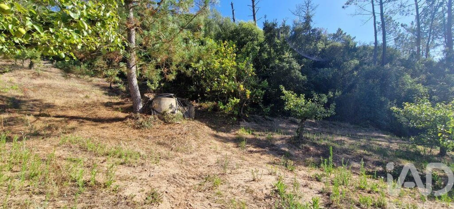Terreno para Venda em Azueira e Sobral da Abelheira Foto 20
