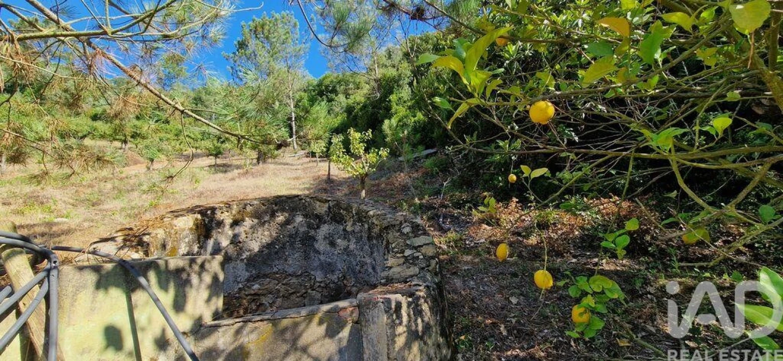 Terreno para Venda em Azueira e Sobral da Abelheira Foto 19