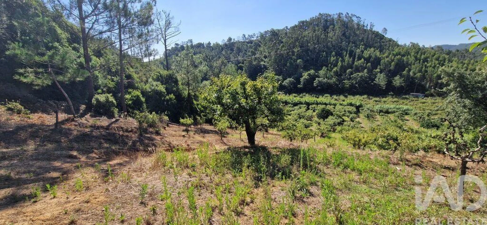 Terreno para Venda em Azueira e Sobral da Abelheira Foto 6