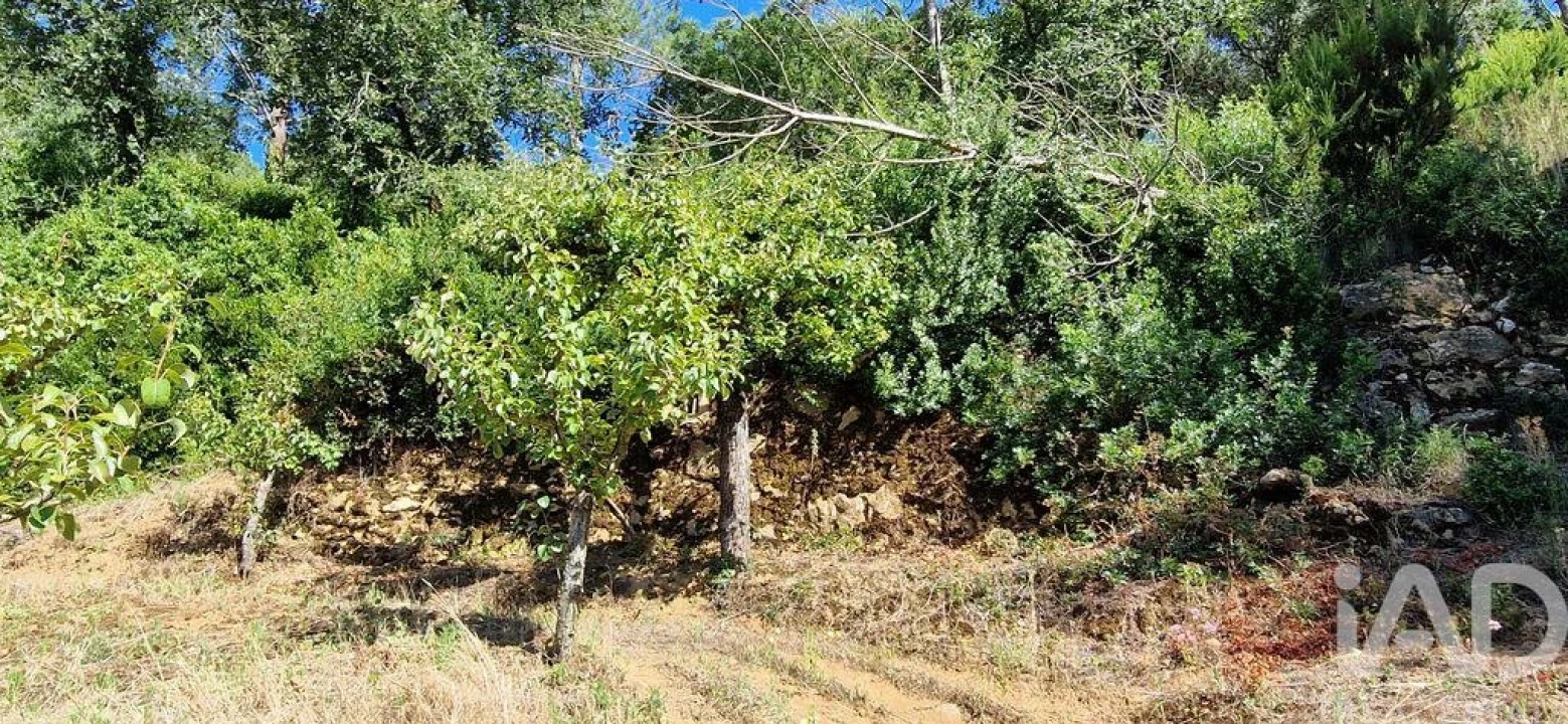 Terreno para Venda em Azueira e Sobral da Abelheira Foto 12