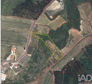 Terreno para Venda em Azueira e Sobral da Abelheira