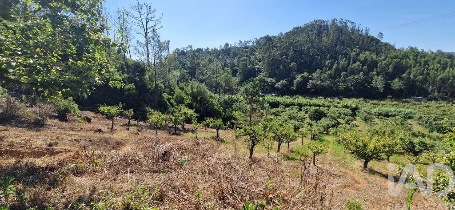 Terreno para Venda em Azueira e Sobral da Abelheira Foto 3