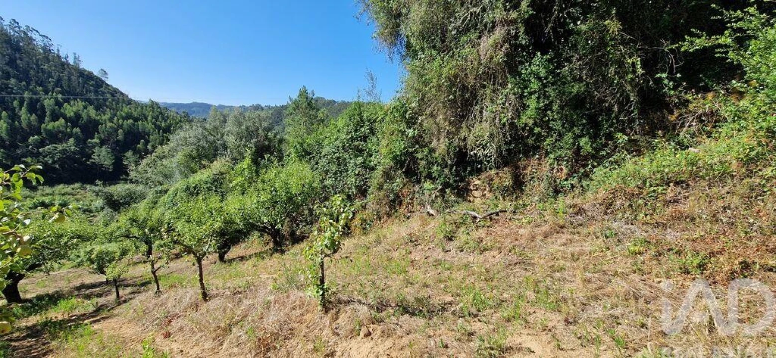 Terreno para Venda em Azueira e Sobral da Abelheira Foto 7