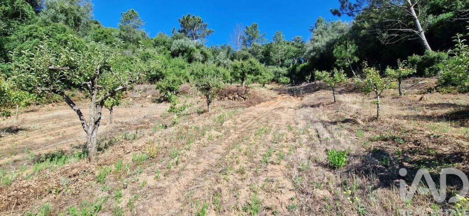 Terreno para Venda em Azueira e Sobral da Abelheira Foto 16