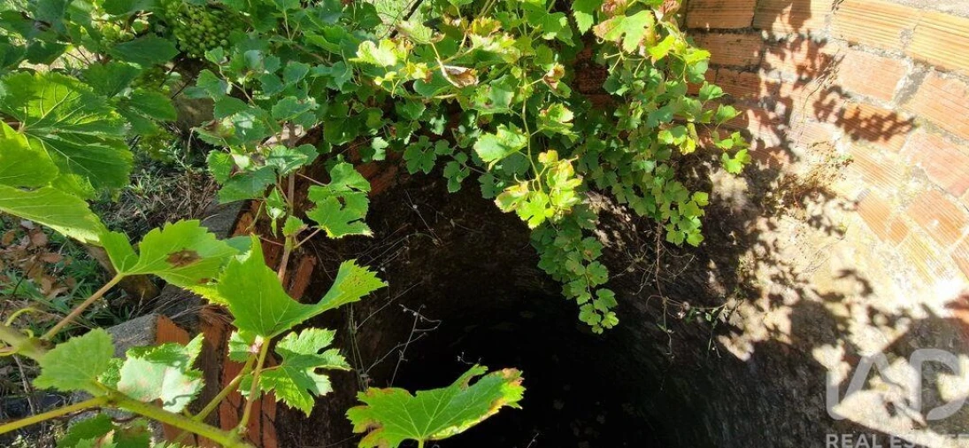 Terreno para Venda em Azueira e Sobral da Abelheira Foto 22